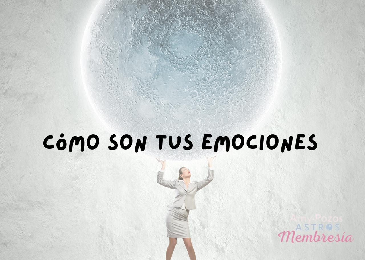 Sabes cómo son tus emociones